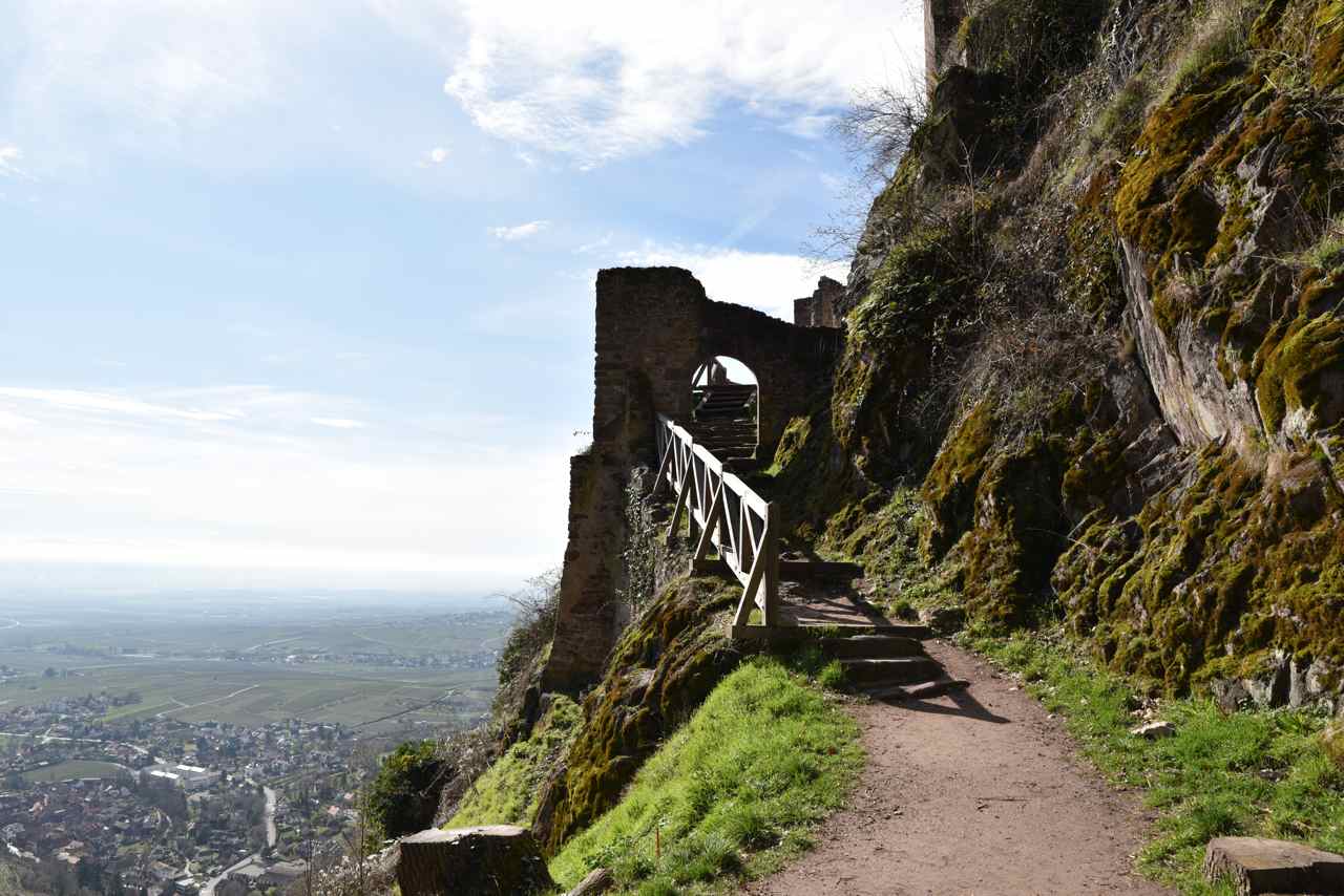 Château de Saint-Ulrich, Ribeauville